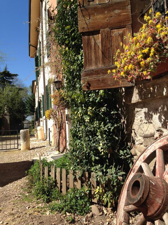 Agriturismo Corte Pellegrini San Martino Buon Albergo Exterior photo